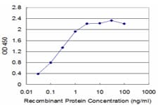 SLC11A1 / NRAMP Antibody (clone 2G2)