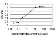 PCDH1 / PCD1 Antibody (clone 5D5)