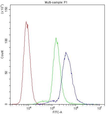 PPIA / Cyclophilin A Antibody