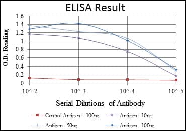 FOXP2 Antibody (clone 5C11A8)