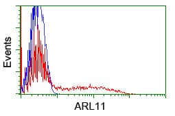 ARL11 Antibody (clone OTI1A5)