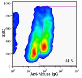 Pancreas Marker HPa2 Antibody (clone DHIC2-2B4)