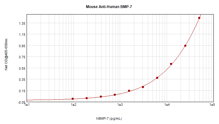 BMP7 Antibody