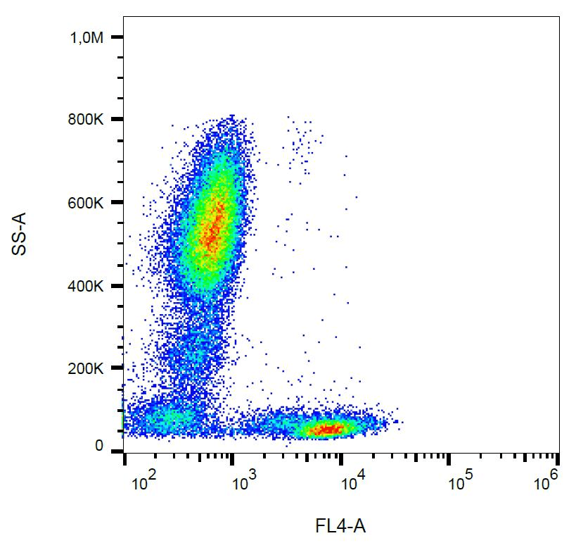 CD5 Antibody (clone L17F12, PerCP)