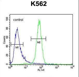 C6orf58 Antibody (aa205-233)