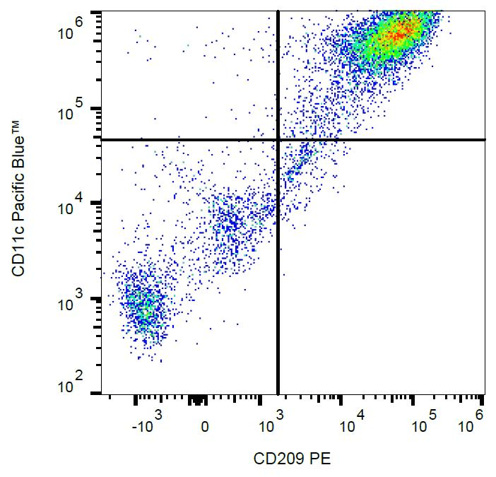 Monoclonal Mouse anti-Human CD209 / DC-SIGN Antibody (clone UW60.1, PE, IHC)