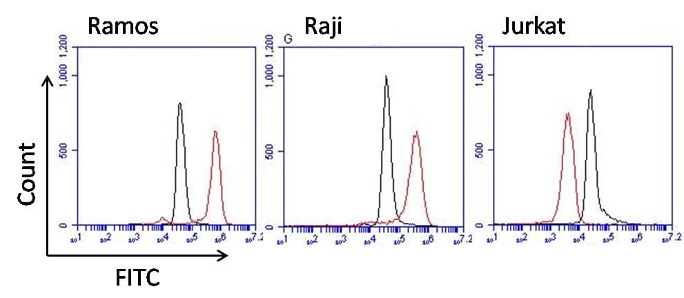 Monoclonal Mouse Anti-Human IgM Secondary Antibody (clone P5E2, WB)