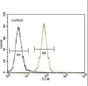 Polyclonal Rabbit anti-Human NEP / DDR1 Antibody (aa17-47, IHC, WB)