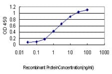 STAC Antibody (clone 2C5)