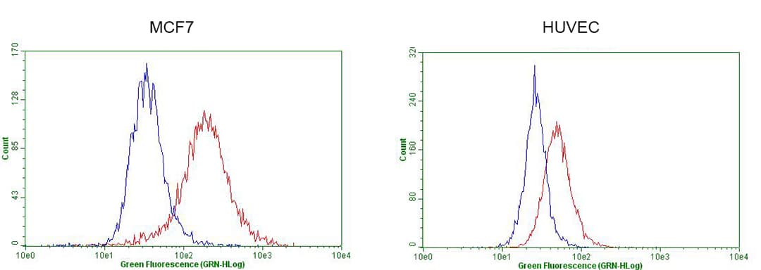 GATA3 Antibody (aa155-443, clone OTI8E11)
