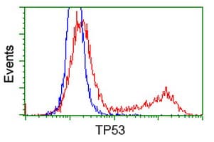 Monoclonal Mouse anti-Human TP53 / p53 Antibody (clone OTI3F5, IHC, IF, WB)