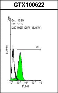 IHC-plus™ Polyclonal Rabbit anti-Human POU5F1 / OCT4 Antibody (IHC, IF, WB)