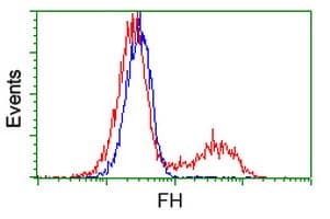 IHC-plus™ FH / Fumarase / MCL Antibody (clone 9G4)