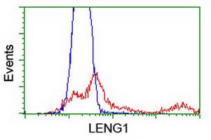 LENG1 Antibody (clone OTI 9H5)