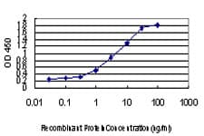 Monoclonal Mouse anti-Human FOXA2 Antibody (clone 4G11, IF, WB)