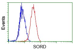 Monoclonal Mouse anti-Human SORD / Sorbitol Dehydrogenase Antibody (clone OTI9E7, IHC, IF, WB)