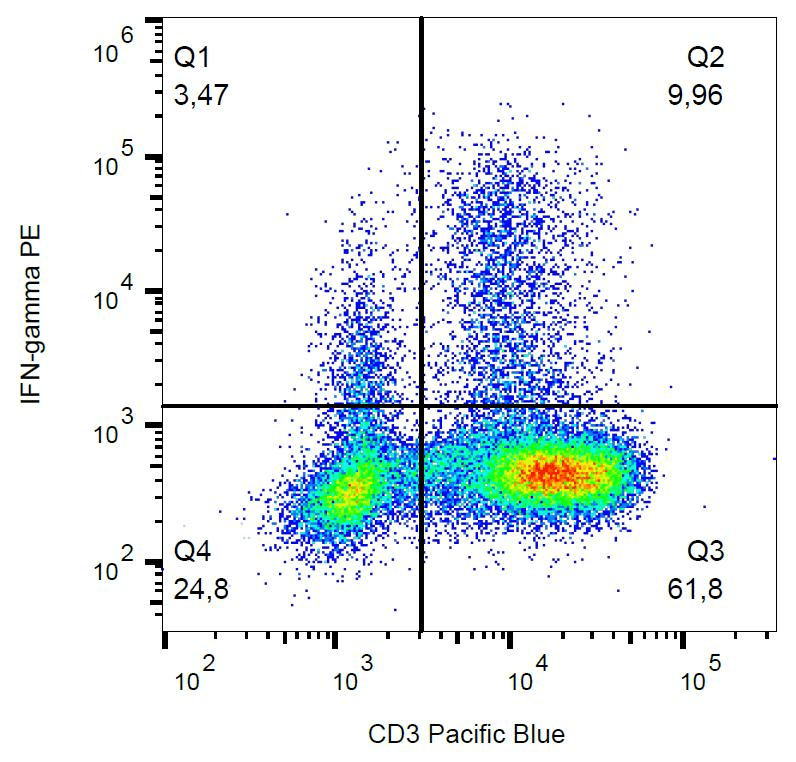 Monoclonal Mouse anti-Human IFN Gamma / Interferon Gamma Antibody (clone 4S.B3, PE, IHC, WB)