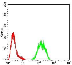KMT2C / MLL3 Antibody (clone 6D1B9)