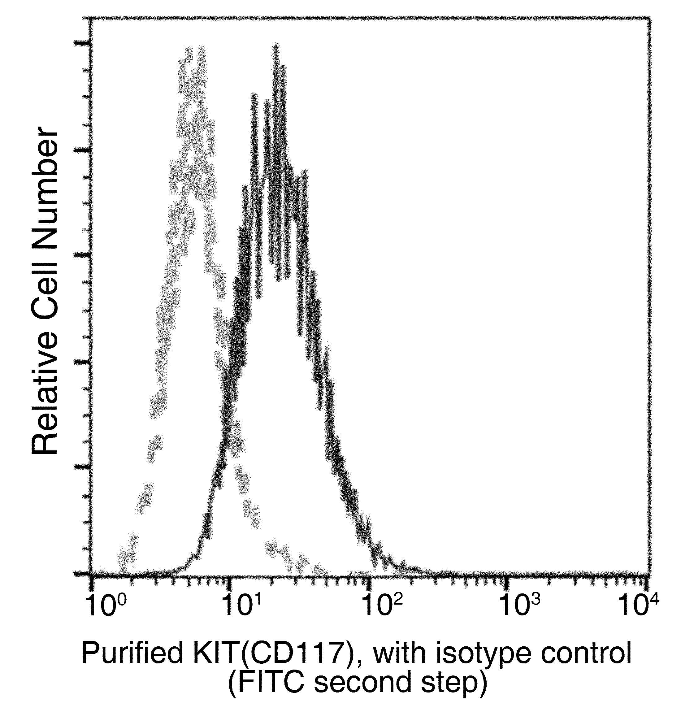 Monoclonal Mouse anti-Human c-Kit / CD117 Antibody (clone 34, Preservative Free)