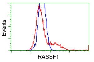 RASSF1 / RASSF1A Antibody (clone OTI2A9)