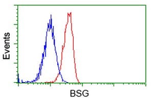 Basigin / Emmprin / CD147 Antibody (clone OTI4E4)