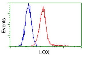 IHC-plus™ LOX / Lysyl Oxidase Antibody (clone 9A11)