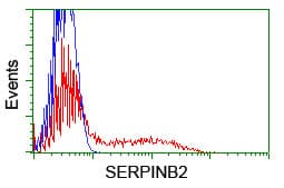 SERPINB2 / PAI-2 Antibody (clone OTI4A3, Carrier-free)