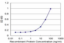 MYL3 Antibody (clone 4C2)