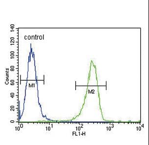 PLAT / TPA Antibody (aa371-399)