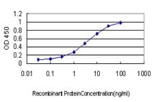 Monoclonal Mouse anti-Human PCDH8 Antibody (clone 6A8, WB)