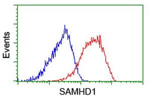 SAMHD1 Antibody (clone 3F5, Carrier-free)