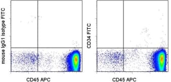 CD34 Antibody (clone 4H11, FITC)