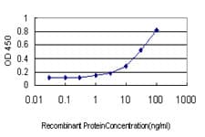 PRKACB Antibody (clone 2G8-1D12)