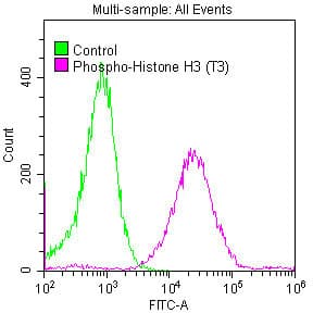 H3F3B Antibody