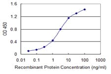 IHC-plus™ Monoclonal Mouse anti-Human BCAS1 / NABC1 Antibody (clone 1B5, IHC, WB)