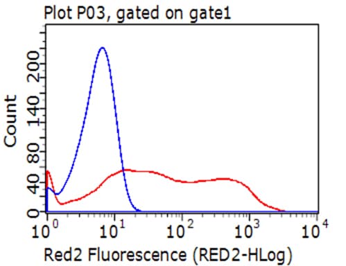 CD274 / B7-H1 / PD-L1 Antibody (clone OTI13D11)