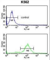 APOBEC3F / ARP8 Antibody (aa22-48)