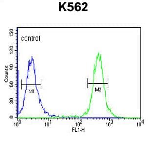 TRERF1 Antibody (aa1136-1164)