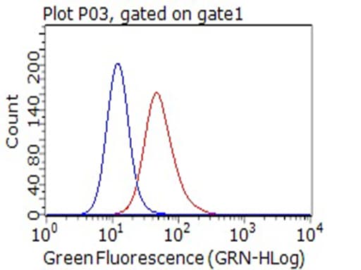 CD80 Antibody (clone OTI7D6)