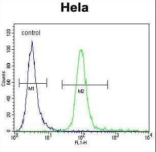 MFGE8 /Lactadherin Antibody (aa316-345)