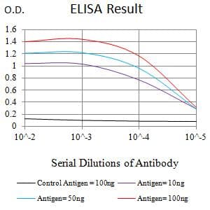 SETD7 / SET7 Antibody (clone 3D6G11)