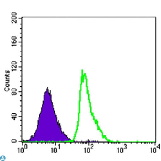 Monoclonal Mouse anti-Human FCER2 / CD23 Antibody