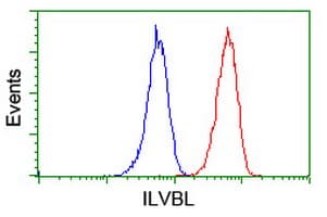 ILVBL Antibody (clone OTI8B12)