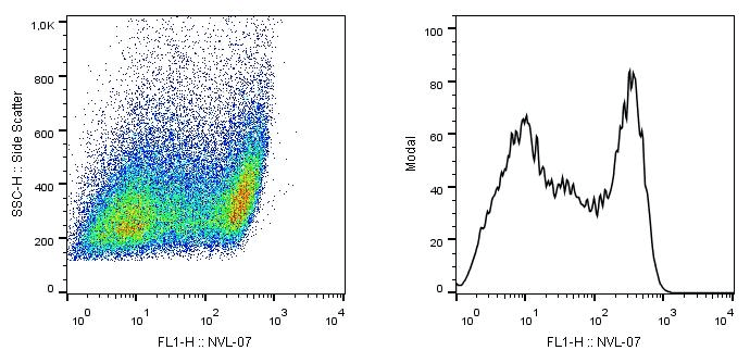 SCIMP Antibody (clone NVL-07)