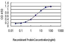 IHC-plus™ CD48 Antibody (clone 3B8-2C2)