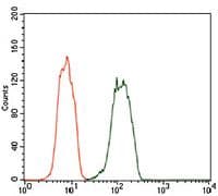 DCTN4 / Dynactin 4 Antibody (Amino Acid: 57-298, clone 3G9D7)