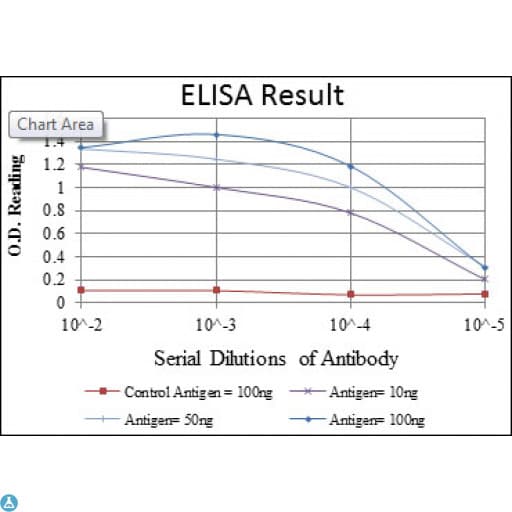 CD1A Antibody
