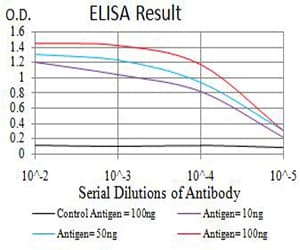 Monoclonal Mouse anti-Human PRKAG3 / AMPK Gamma 3 Antibody (clone 1C5D10, WB)