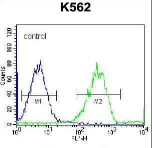 FAM105A Antibody (aa196-224)