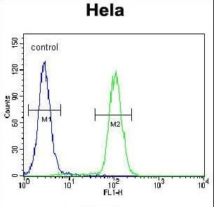 SIK3 / QSK Antibody (aa1233-1263)
